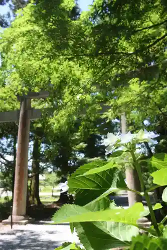 井伊神社(滋賀県)
