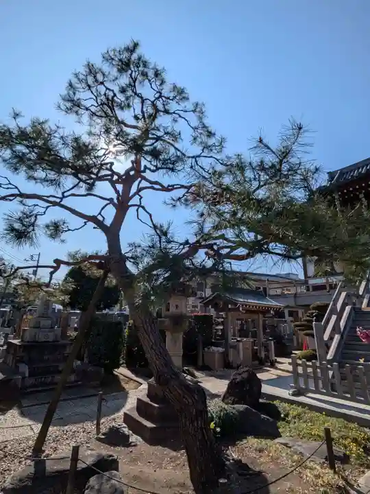 来迎寺(東京都)