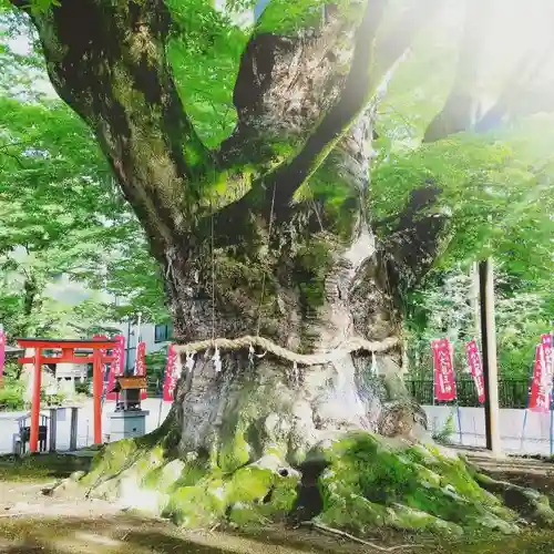 秩父今宮神社のその他建物