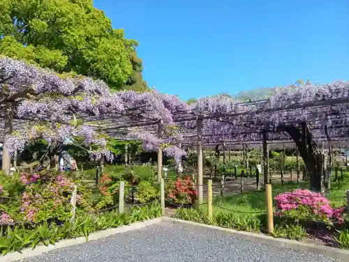 曼陀羅寺(愛知県)