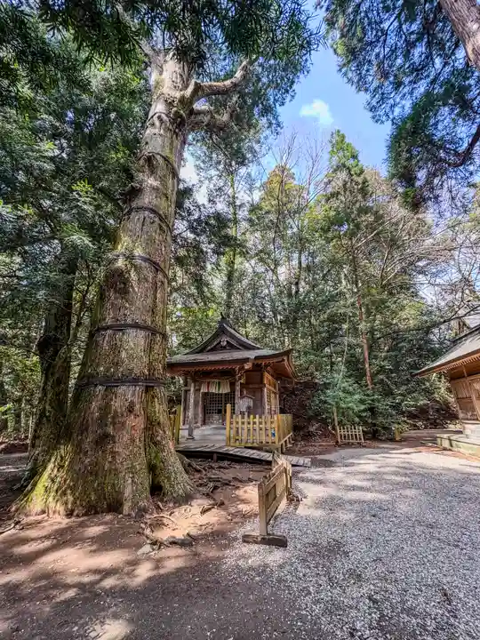 高千穂神社(宮崎県)