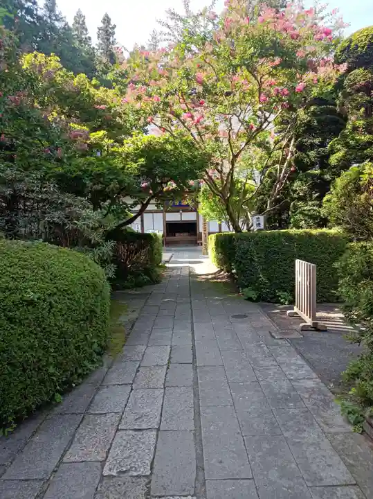 安楽寺の御朱印