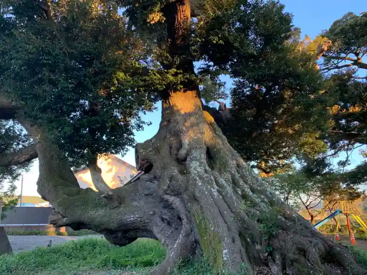 八幡神社のその他建物