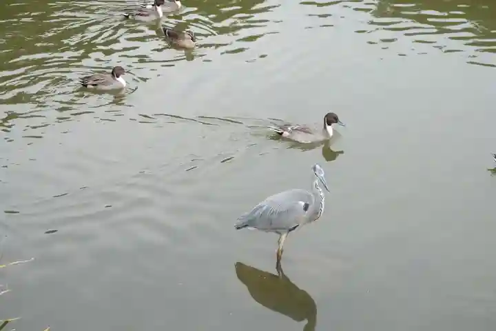 稱名寺(神奈川県)