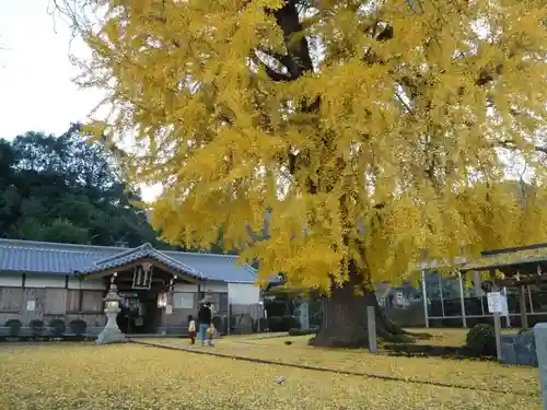 丹生酒殿神社のその他建物