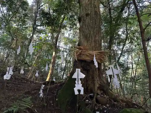 佐為神社の{uncategorized: "未分類", other: "その他", undefined: "問題あり", building: "その他建物", grave: "お墓", sacred_gate: "鳥居", guardian: "狛犬", statue: "像", buddha: "仏像", history: "歴史", nature: "自然", garden: "庭園", animal: "動物", pagoda: "塔", temizu: "手水舎", mountain_gate: "山門・神門", sanctuary: "本殿・本堂", subordinate: "末社・摂社", art: "芸術", scenery: "景色", jizo: "地蔵", ema: "絵馬", goshuin: "御朱印", omikuji: "おみくじ", items: "授与品その他", amulet: "お守り", goshuincho: "御朱印帳", eats: "食事", festival: "お祭り", votive_dance: "神楽", shichigosan: "七五三参", wedding: "結婚式", experience: "体験その他", initially: "初詣", around: "周辺", anti_infection: "感染症対策"}