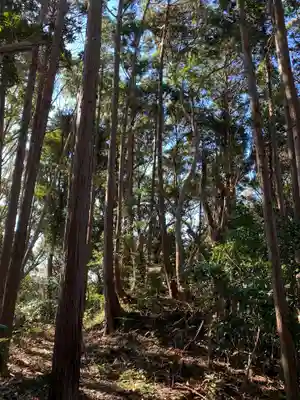 浅間神社の周辺