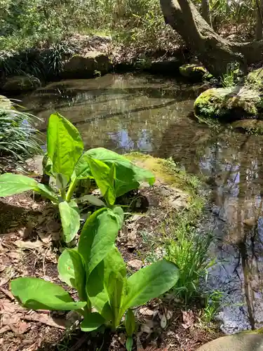 清池八幡神社(山形県)