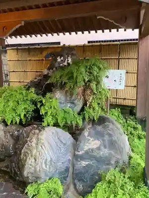 馬橋稲荷神社(東京都)