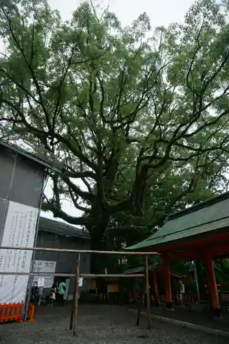 熊野那智大社の自然