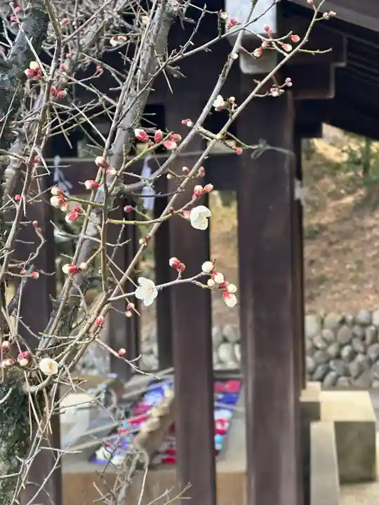 群馬県護国神社(群馬県)