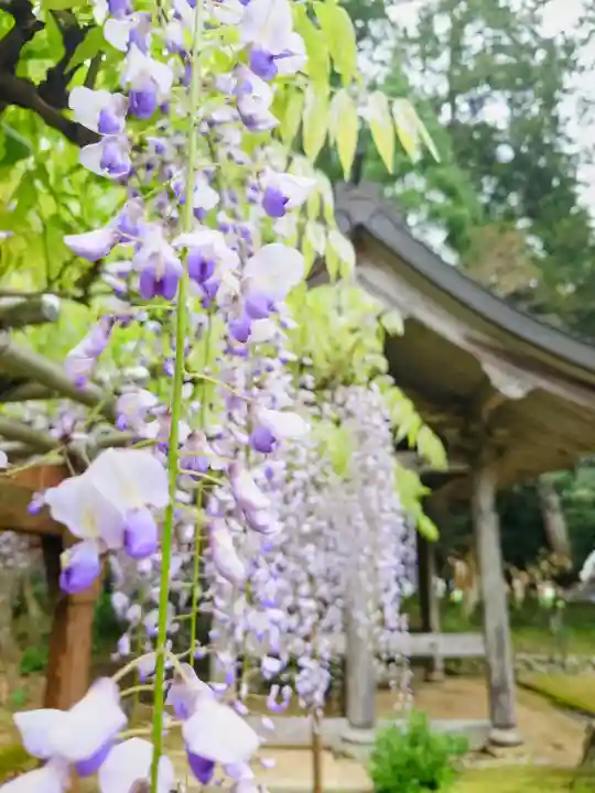 粟鹿神社の{uncategorized: "未分類", other: "その他", undefined: "問題あり", building: "その他建物", grave: "お墓", sacred_gate: "鳥居", guardian: "狛犬", statue: "像", buddha: "仏像", history: "歴史", nature: "自然", garden: "庭園", animal: "動物", pagoda: "塔", temizu: "手水舎", mountain_gate: "山門・神門", sanctuary: "本殿・本堂", subordinate: "末社・摂社", art: "芸術", scenery: "景色", jizo: "地蔵", ema: "絵馬", goshuin: "御朱印", omikuji: "おみくじ", items: "授与品その他", amulet: "お守り", goshuincho: "御朱印帳", eats: "食事", festival: "お祭り", votive_dance: "神楽", shichigosan: "七五三参", wedding: "結婚式", experience: "体験その他", initially: "初詣", around: "周辺", anti_infection: "感染症対策"}