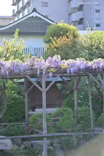 亀戸天神社の庭園