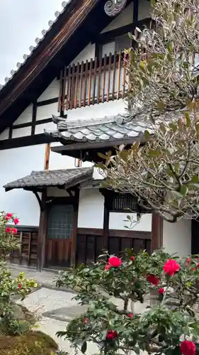 新德禅寺 (新徳寺)(京都府)