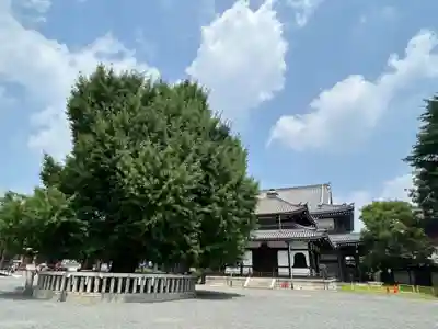 本願寺（西本願寺）(京都府)