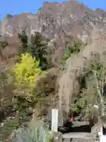 妙義神社の自然