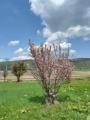 俵真布神社(北海道)