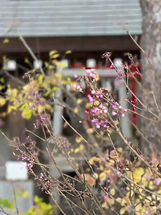 多摩川浅間神社(東京都)