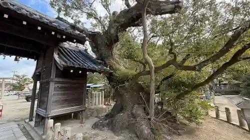 國瑞彦護国神社(兵庫県)