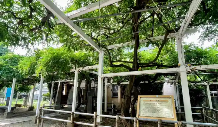 久伊豆神社の自然