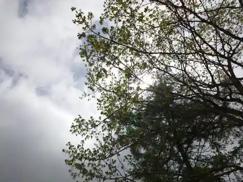 戸隠神社中社(長野県)