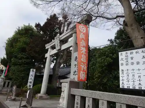 亀ケ池八幡宮の鳥居