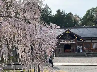 足羽神社(福井県)