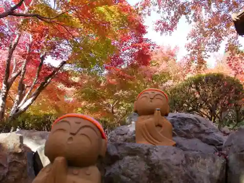 宝徳寺の景色