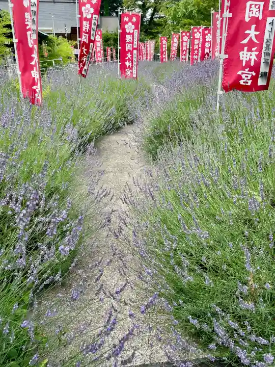 櫻岡大神宮の自然