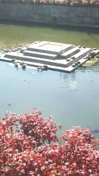 四天王寺の庭園