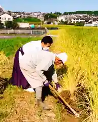 東海市熊野神社のお祭り