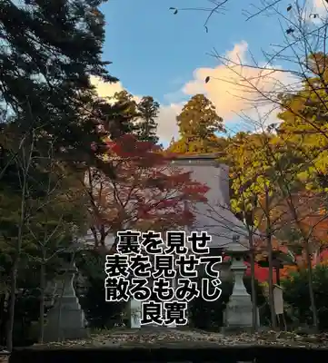 国上寺(新潟県)