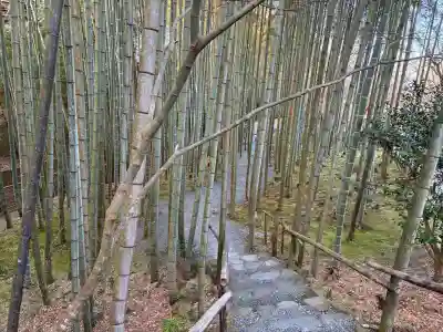 圓光寺(京都府)