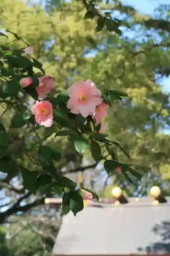八剣宮（熱田神宮別宮）(愛知県)