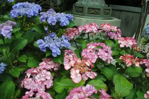 二本松寺(茨城県)