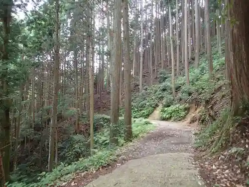 天乃石立神社の自然