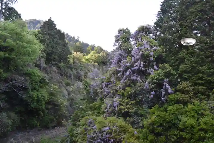 比叡山延暦寺の周辺