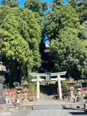 志波彦神社・鹽竈神社(宮城県)