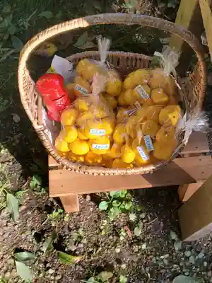 五所駒瀧神社(茨城県)