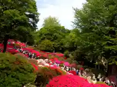 根津神社の庭園