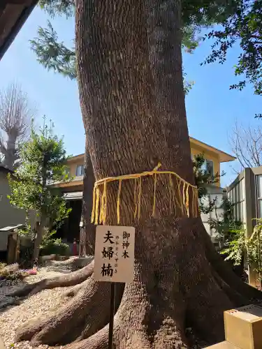 鳩ヶ谷氷川神社の{uncategorized: "未分類", other: "その他", undefined: "問題あり", building: "その他建物", grave: "お墓", sacred_gate: "鳥居", guardian: "狛犬", statue: "像", buddha: "仏像", history: "歴史", nature: "自然", garden: "庭園", animal: "動物", pagoda: "塔", temizu: "手水舎", mountain_gate: "山門・神門", sanctuary: "本殿・本堂", subordinate: "末社・摂社", art: "芸術", scenery: "景色", jizo: "地蔵", ema: "絵馬", goshuin: "御朱印", omikuji: "おみくじ", items: "授与品その他", amulet: "お守り", goshuincho: "御朱印帳", eats: "食事", festival: "お祭り", votive_dance: "神楽", shichigosan: "七五三参", wedding: "結婚式", experience: "体験その他", initially: "初詣", around: "周辺", anti_infection: "感染症対策"}