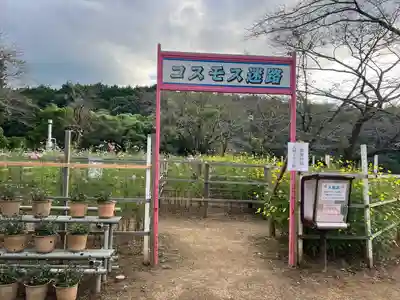 安倍文殊院 (奈良県)