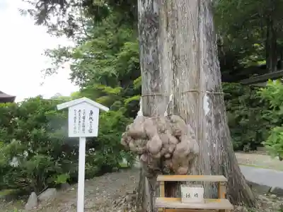 中禅寺のその他建物