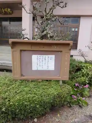 光明寺(京都府)