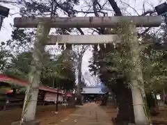 大井氷川神社(埼玉県)