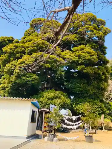 九重神社のその他建物