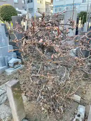 瑞泰寺の{uncategorized: "未分類", other: "その他", undefined: "問題あり", building: "その他建物", grave: "お墓", sacred_gate: "鳥居", guardian: "狛犬", statue: "像", buddha: "仏像", history: "歴史", nature: "自然", garden: "庭園", animal: "動物", pagoda: "塔", temizu: "手水舎", mountain_gate: "山門・神門", sanctuary: "本殿・本堂", subordinate: "末社・摂社", art: "芸術", scenery: "景色", jizo: "地蔵", ema: "絵馬", goshuin: "御朱印", omikuji: "おみくじ", items: "授与品その他", amulet: "お守り", goshuincho: "御朱印帳", eats: "食事", festival: "お祭り", votive_dance: "神楽", shichigosan: "七五三参", wedding: "結婚式", experience: "体験その他", initially: "初詣", around: "周辺", anti_infection: "感染症対策"}