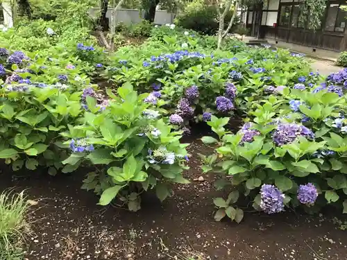 茨城縣護國神社の庭園