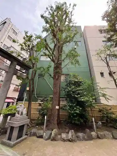 銀杏岡八幡神社の{uncategorized: "未分類", other: "その他", undefined: "問題あり", building: "その他建物", grave: "お墓", sacred_gate: "鳥居", guardian: "狛犬", statue: "像", buddha: "仏像", history: "歴史", nature: "自然", garden: "庭園", animal: "動物", pagoda: "塔", temizu: "手水舎", mountain_gate: "山門・神門", sanctuary: "本殿・本堂", subordinate: "末社・摂社", art: "芸術", scenery: "景色", jizo: "地蔵", ema: "絵馬", goshuin: "御朱印", omikuji: "おみくじ", items: "授与品その他", amulet: "お守り", goshuincho: "御朱印帳", eats: "食事", festival: "お祭り", votive_dance: "神楽", shichigosan: "七五三参", wedding: "結婚式", experience: "体験その他", initially: "初詣", around: "周辺", anti_infection: "感染症対策"}
