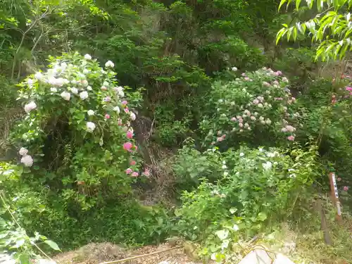 御霊神社の自然